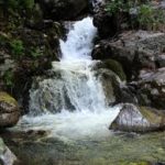 images-1